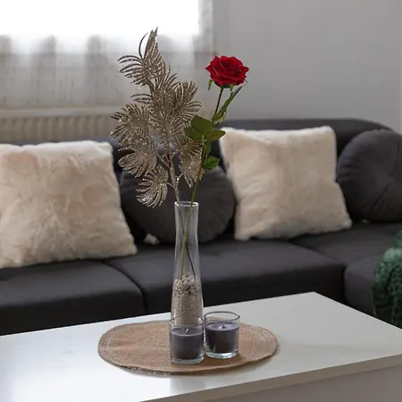 Apartment Charming Torcy Haven- Next To Disneyland *